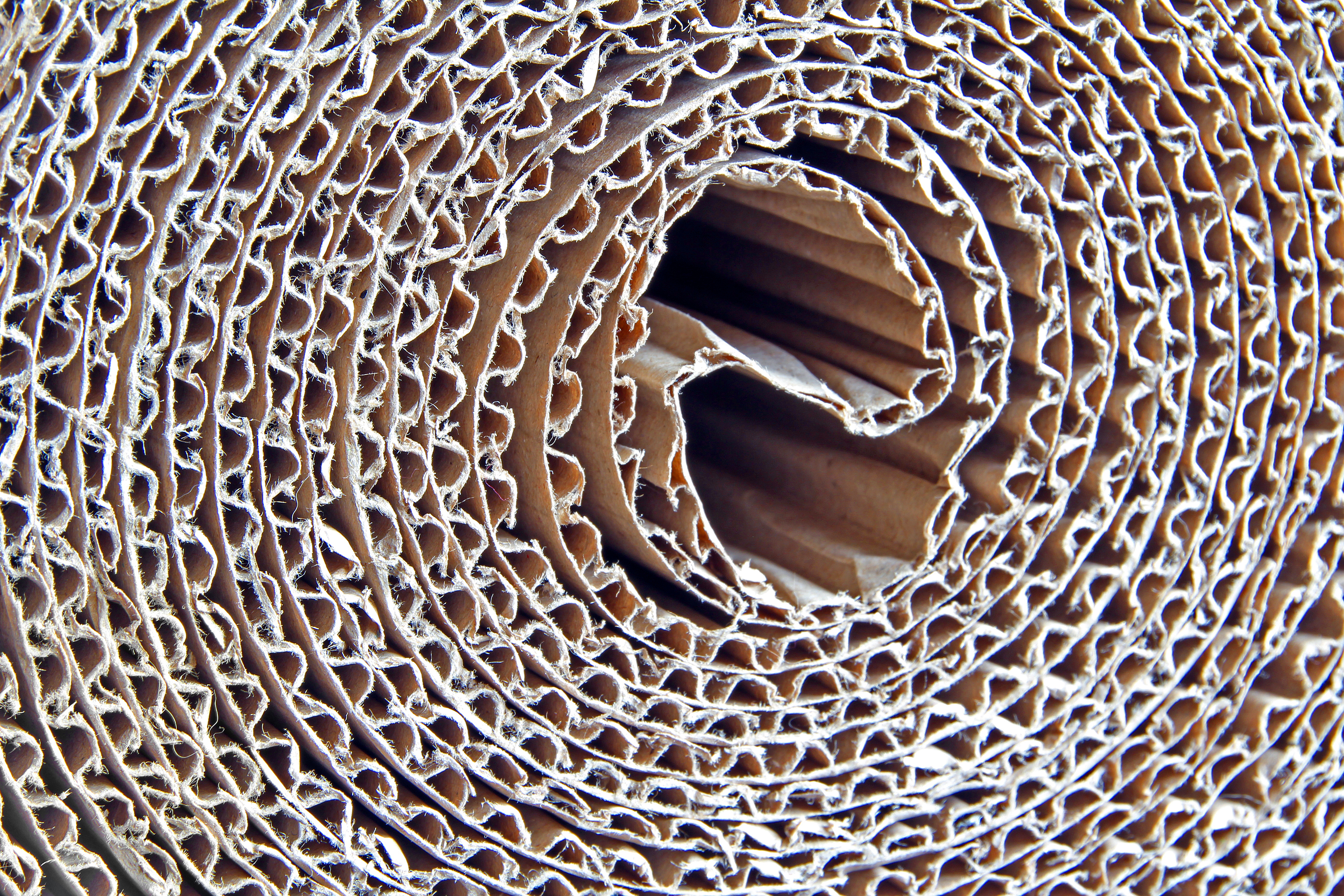 rolled up corrugated cardboard