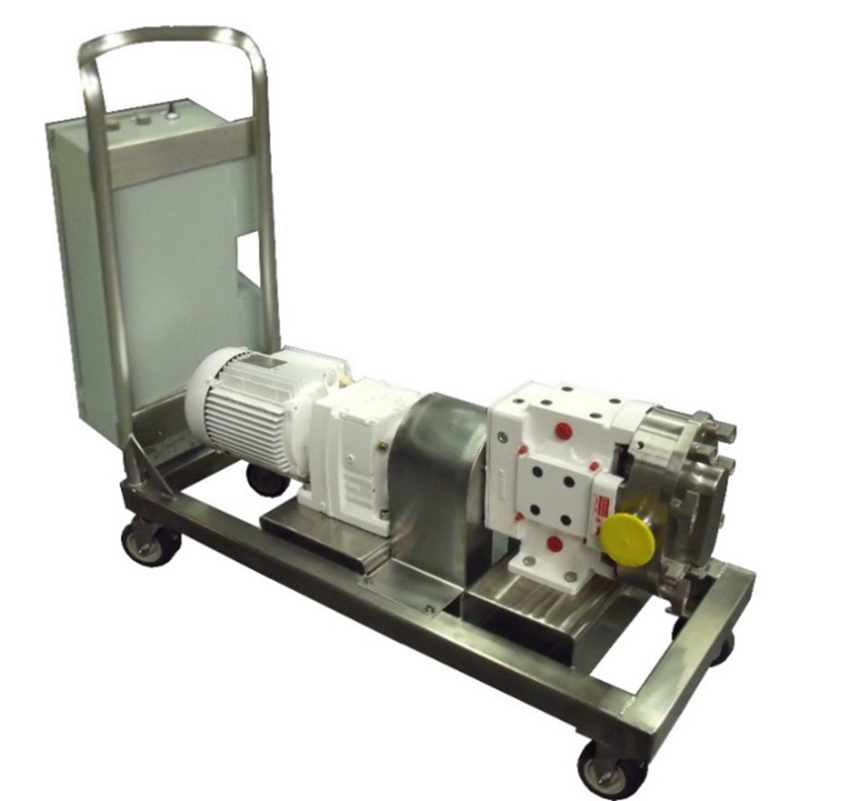Food Grade Stainless Steel Pump Package