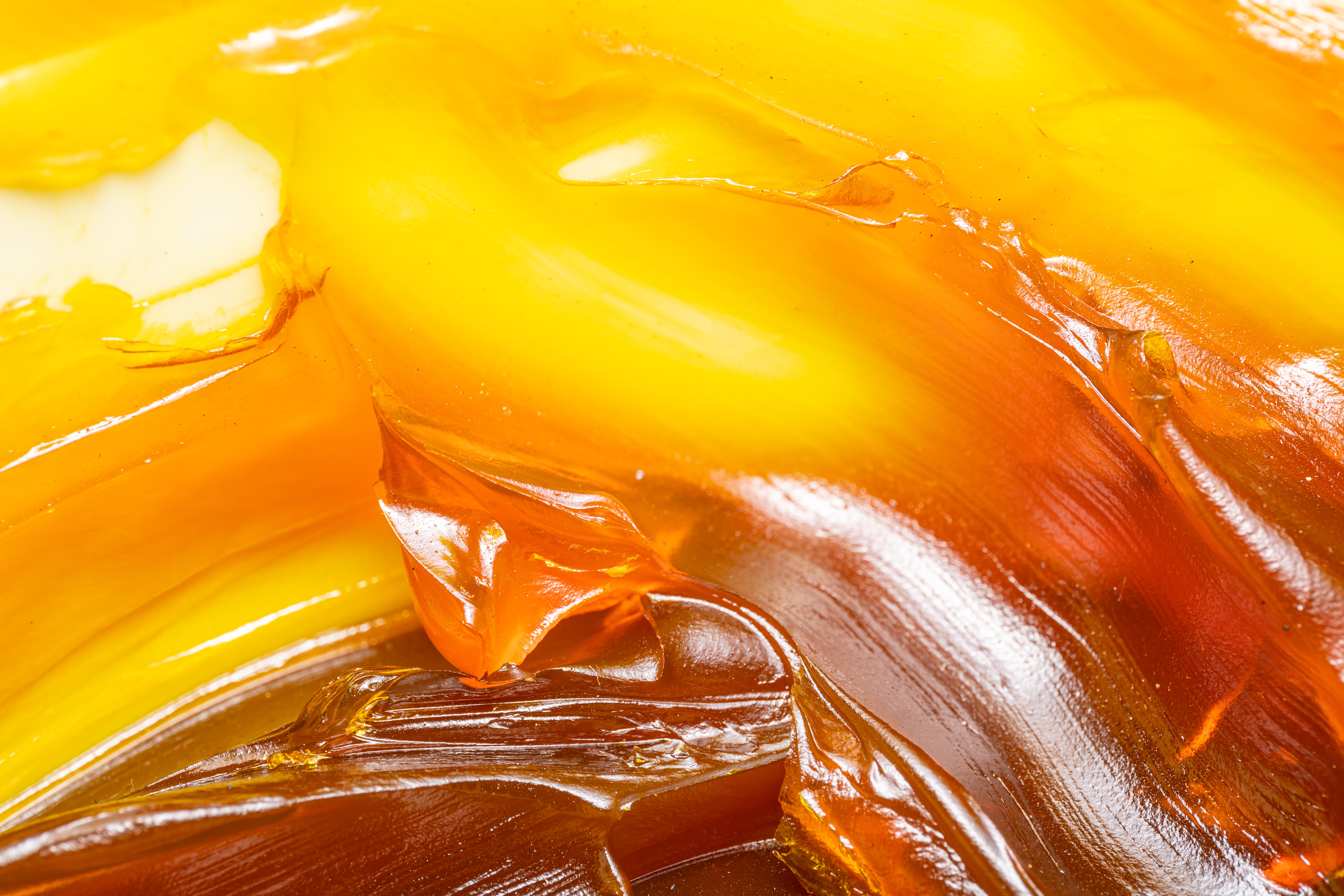 image of yellowy grease