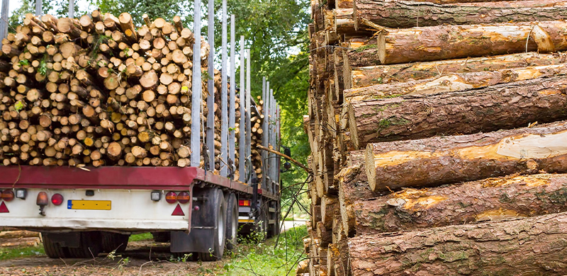logs on a truck