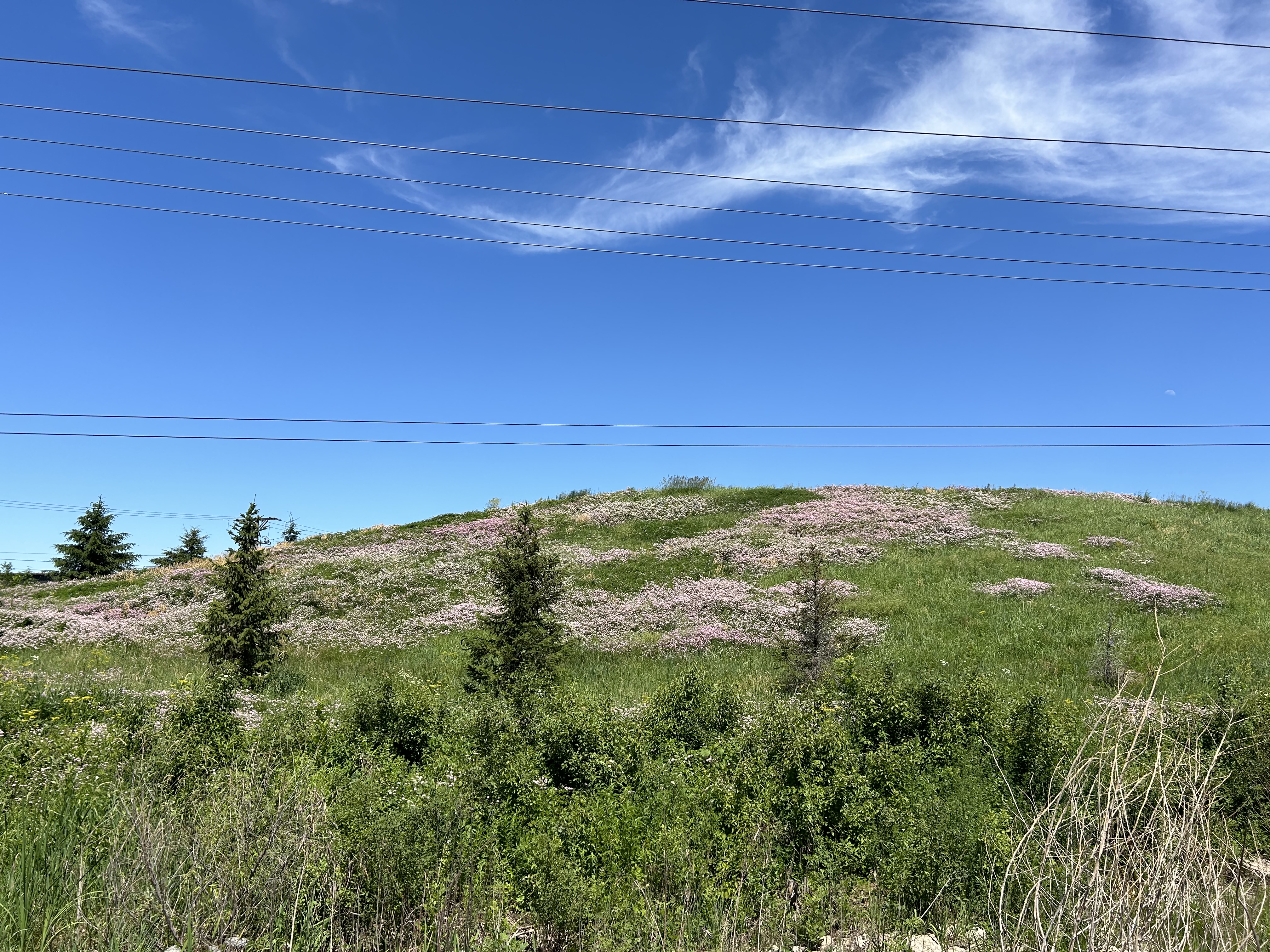 Viking Pump landfill