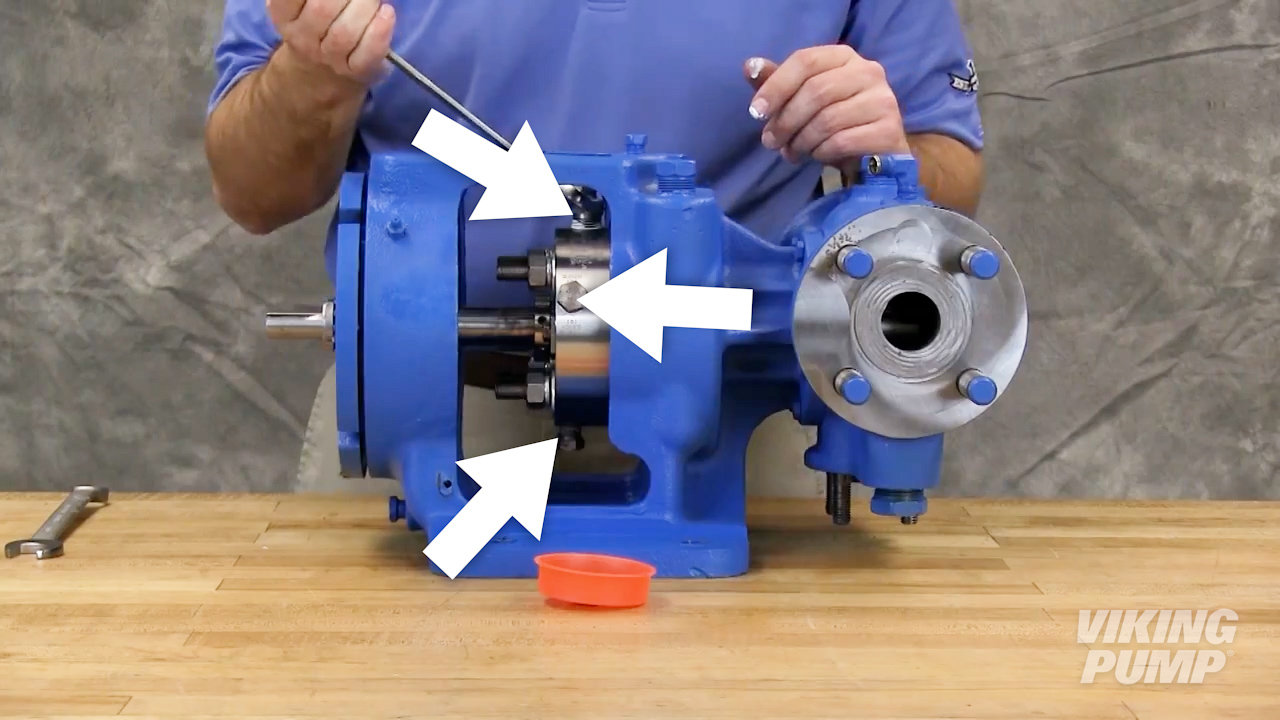 Install seal plugs or piping plan, using the appropriate sealing compound, into the seal gland