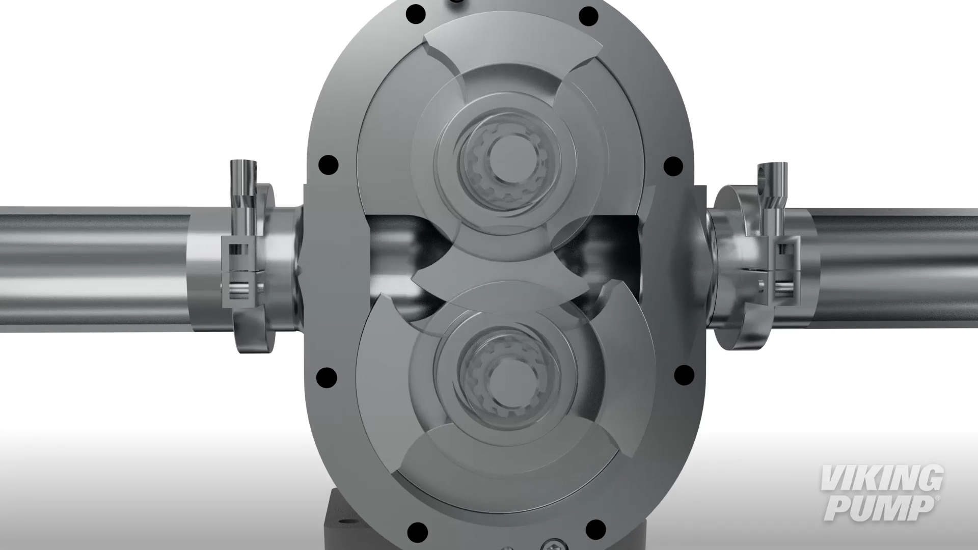 circumferential piston pump animation showing how rotors rotate