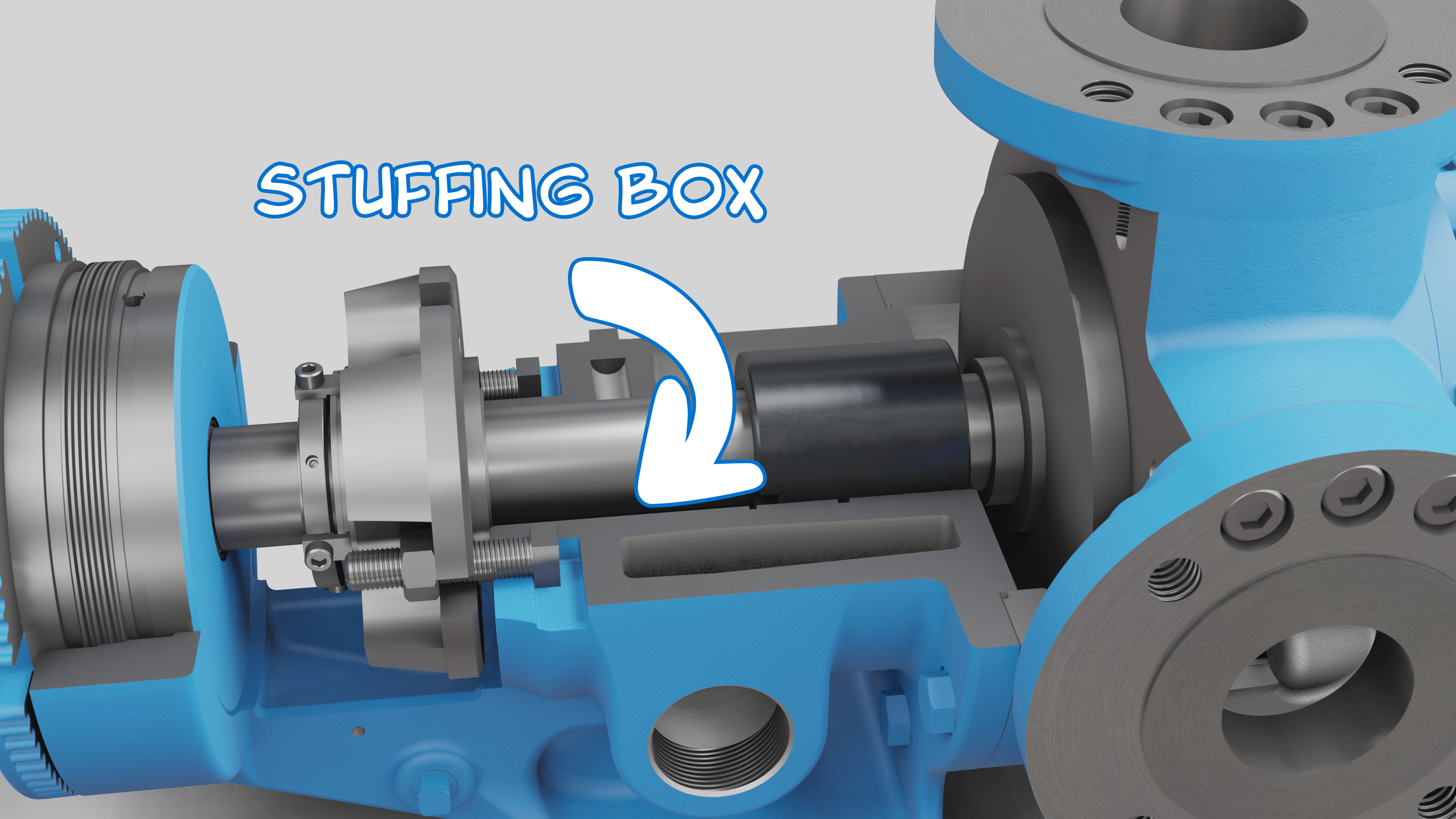 Image of an internal gear pump that is cutaway to show the stuffing box.