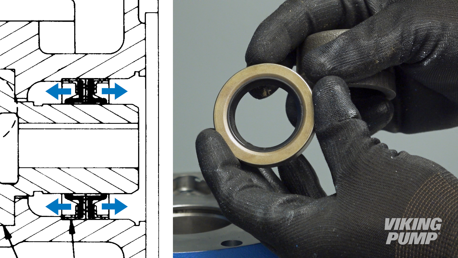 Image showing the direction of lip seal placement in a Viking Pump
