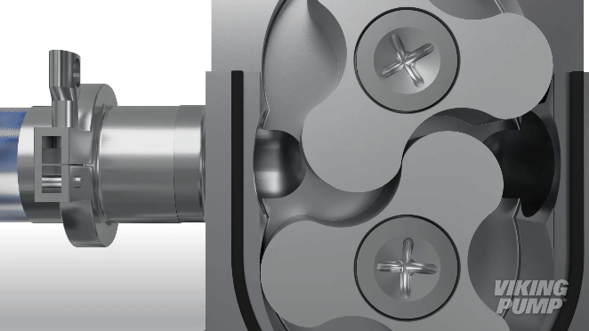 Animation showing the flow path of liquid through a lobe pump.