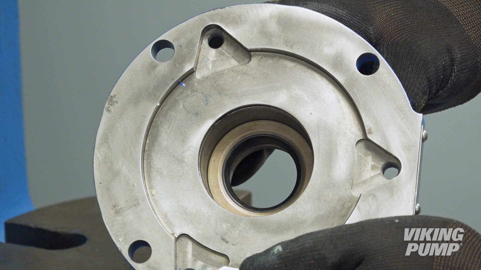 Image showing a fully installed lip seal.