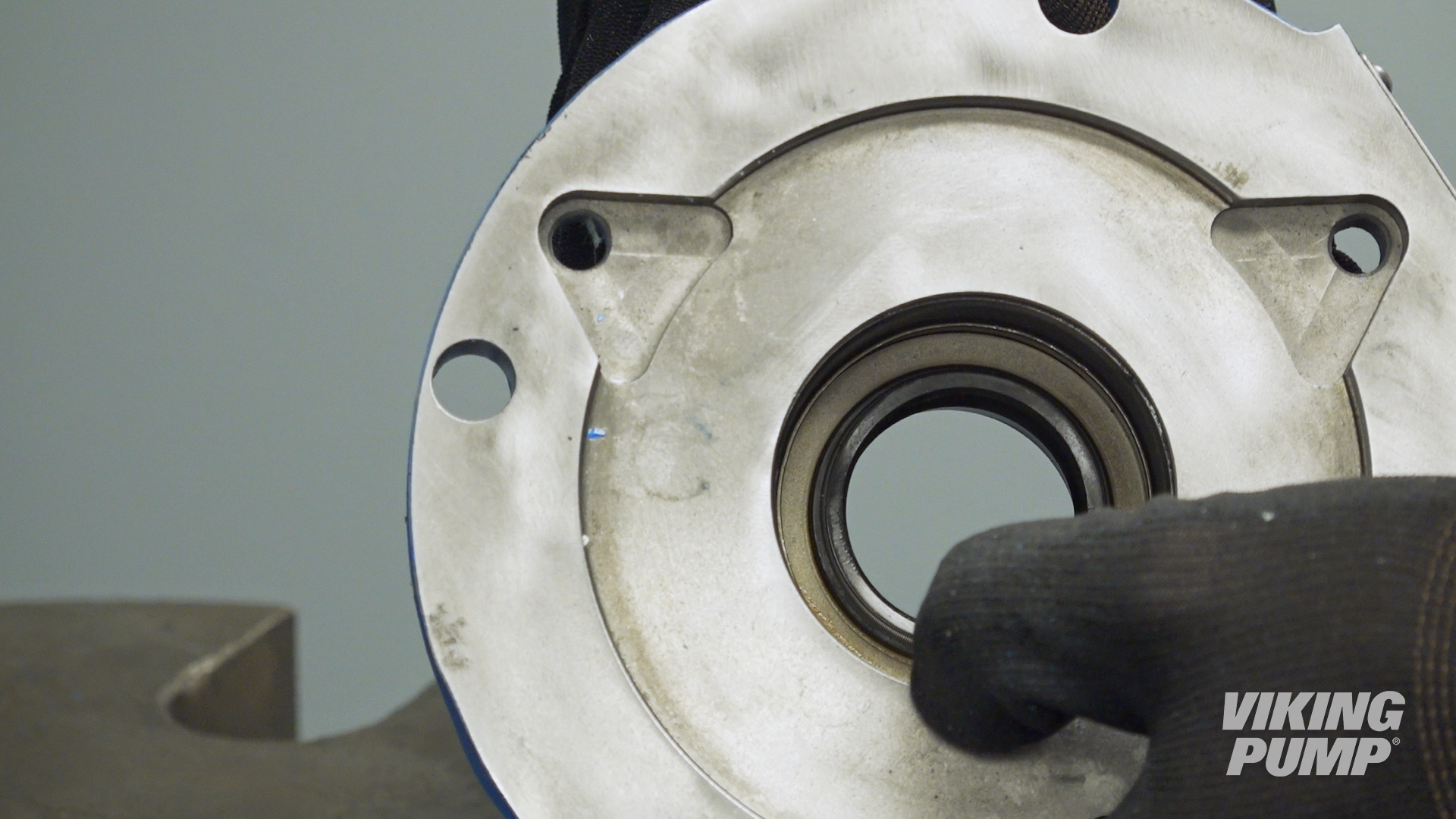 Image showing a fully installed lip seal.