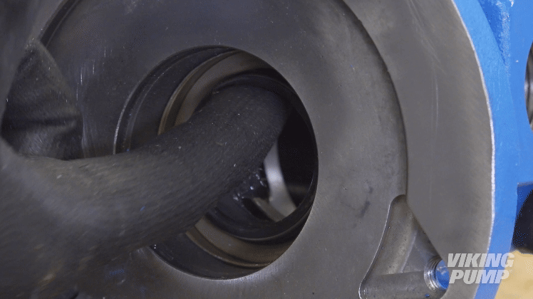 Animation showing area between lip seals being packed with grease in a gear pump