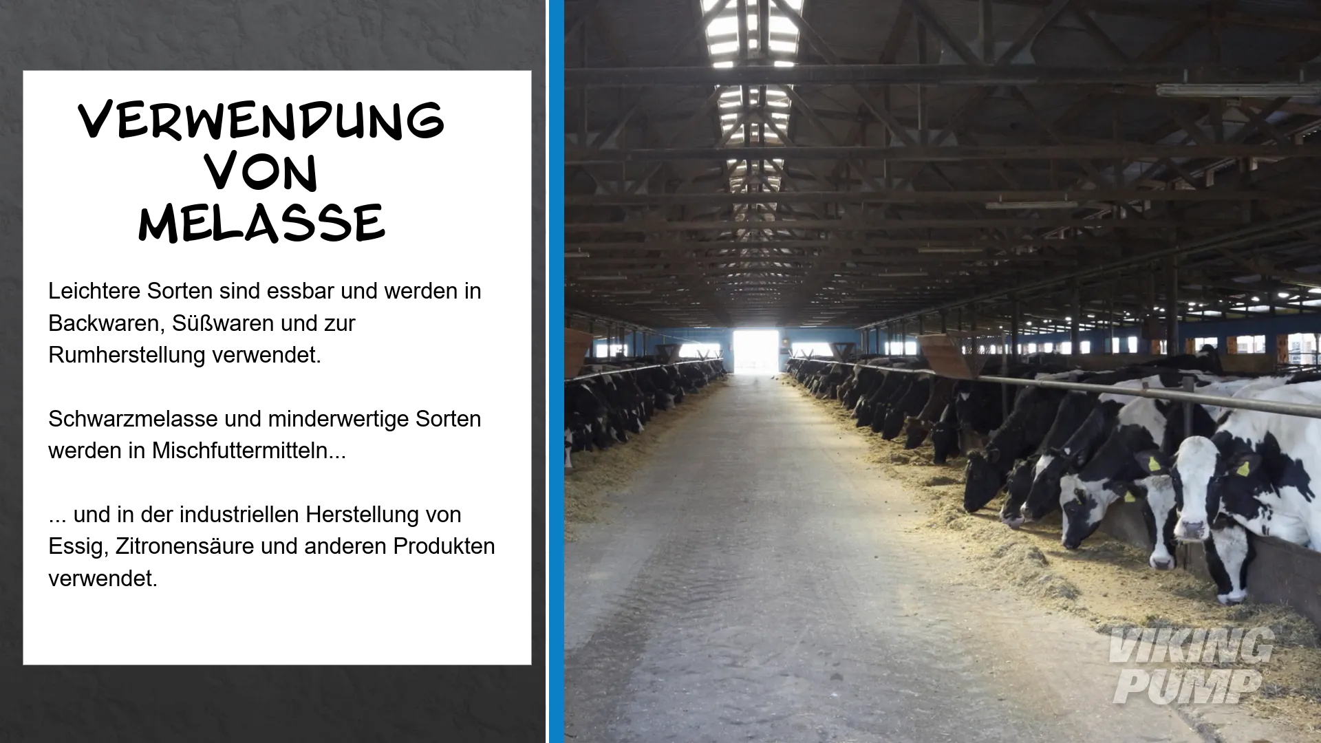 feed lot