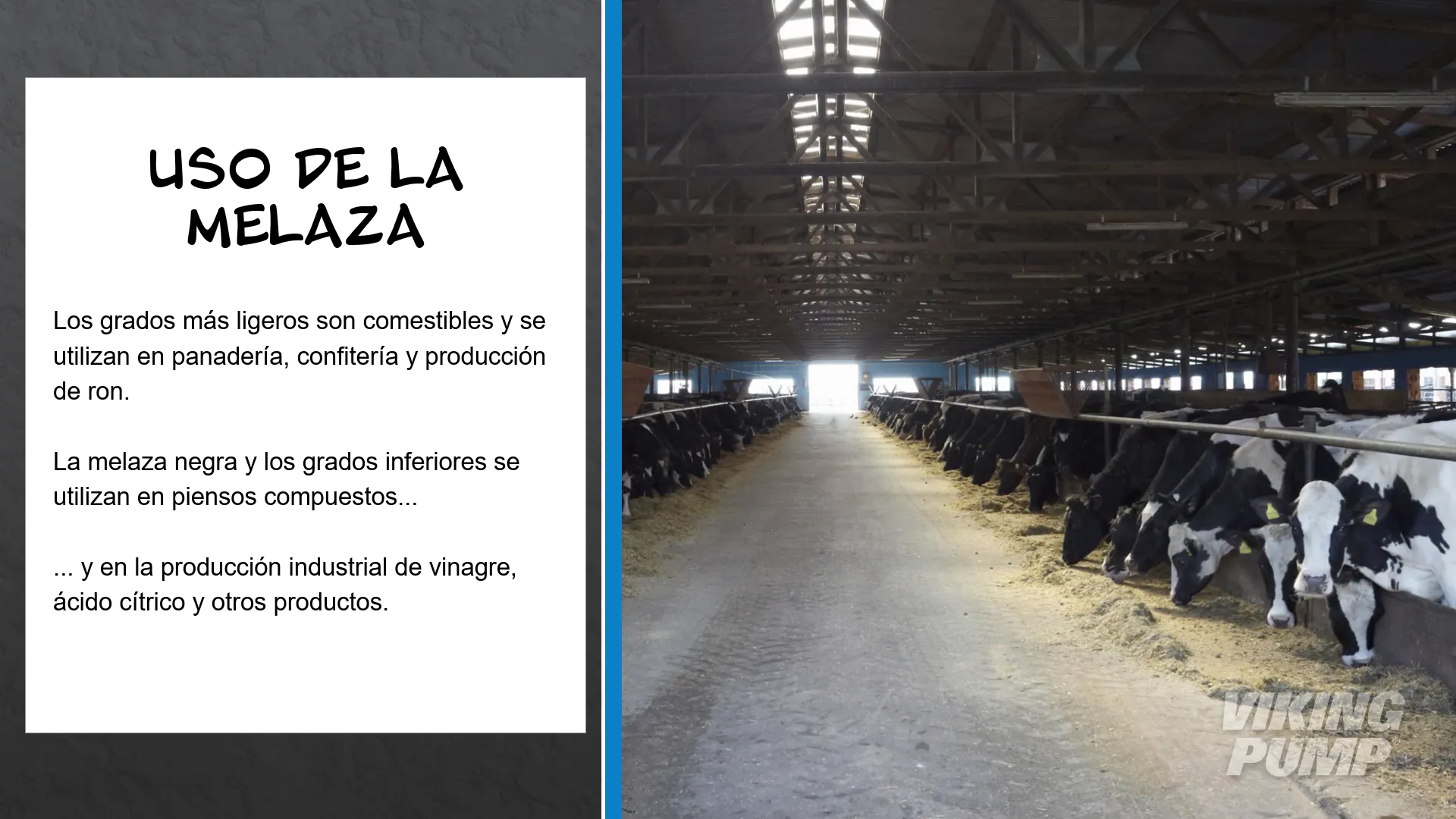 feed lot