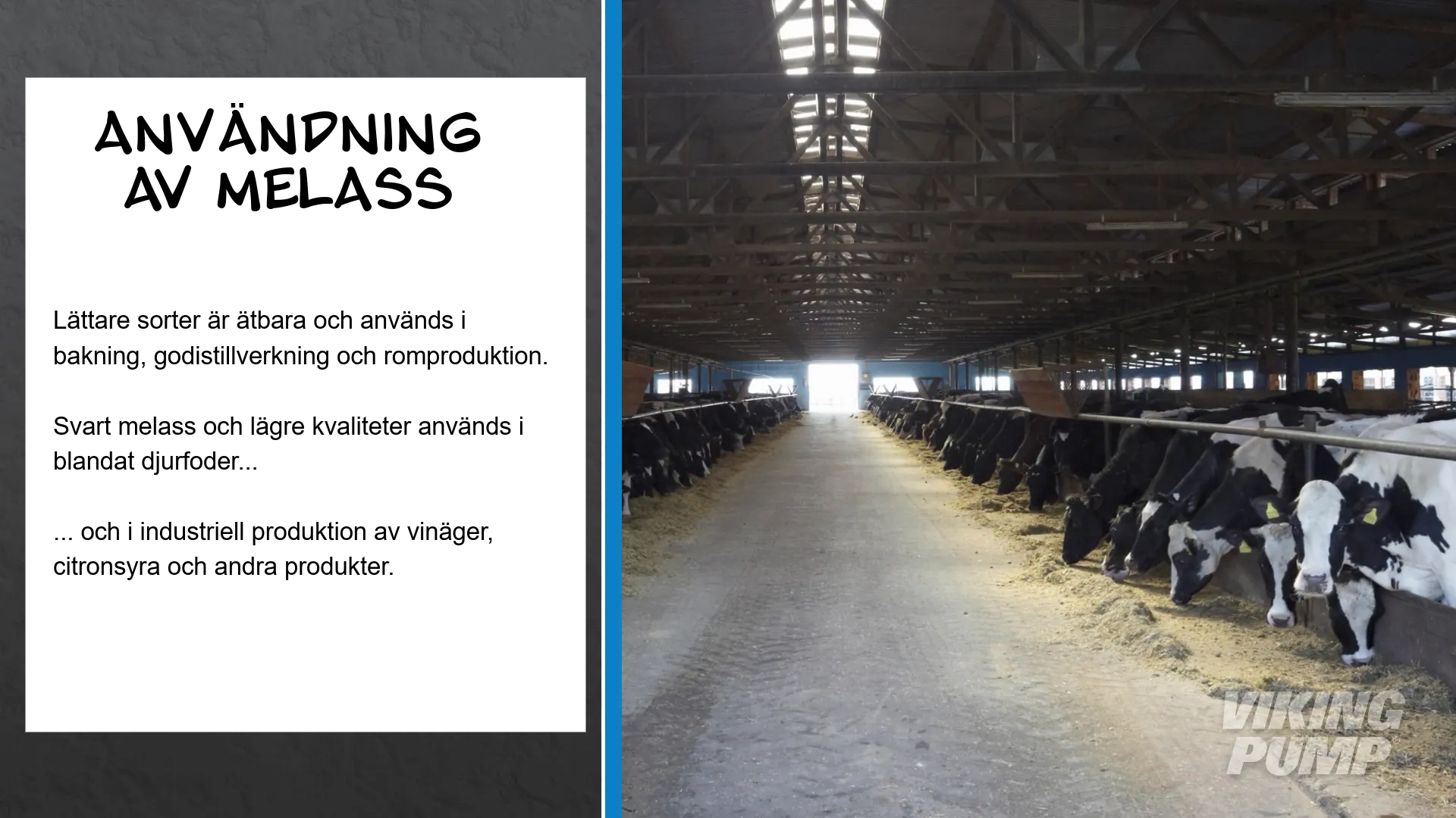 feed lot