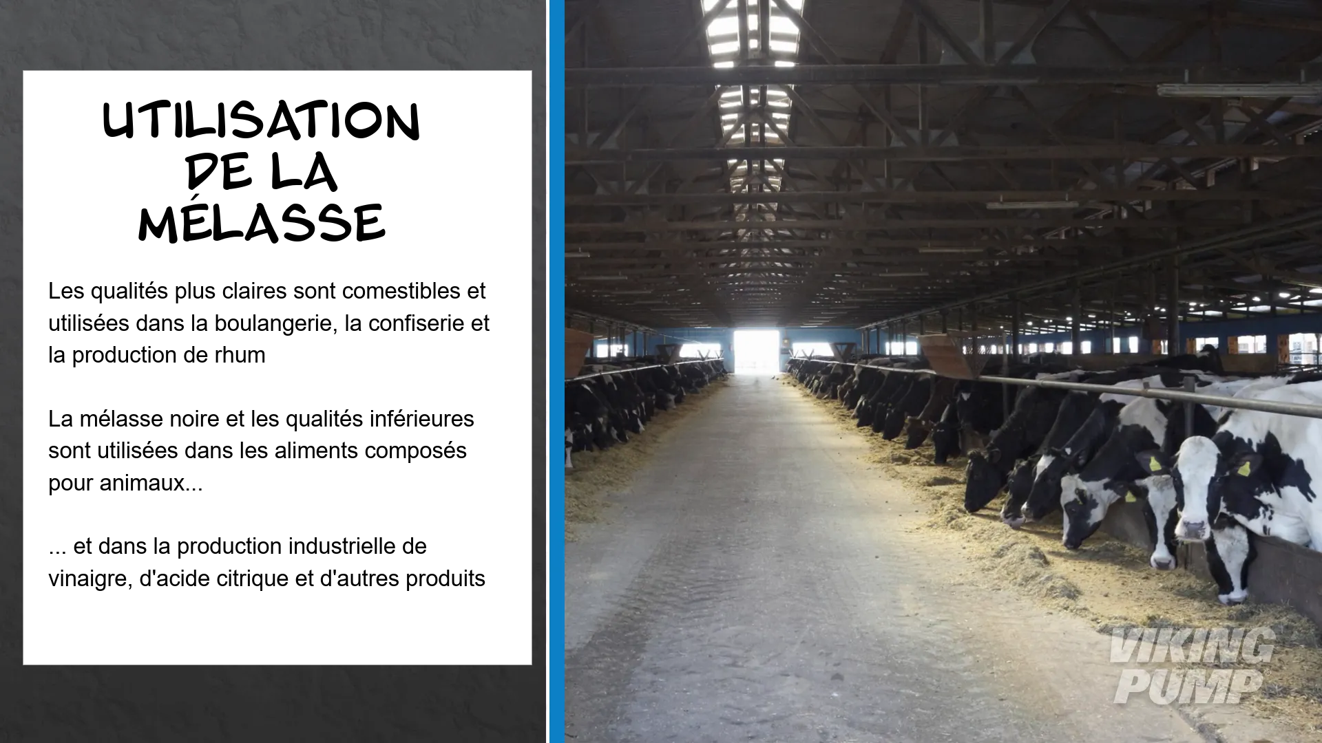 Utilisation de la mélasse