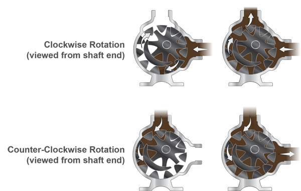 Chocolate Rotation Cut-Away