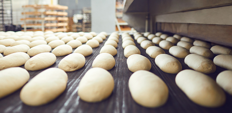 dough rising on conveyer system