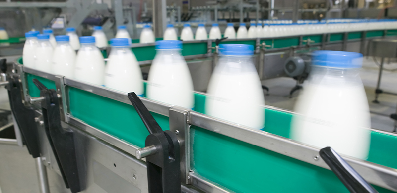 Milk bottles on conveyer system