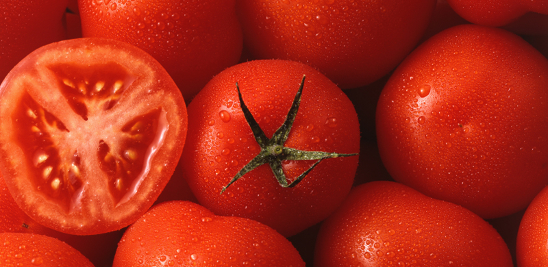 Fresh tomatoes