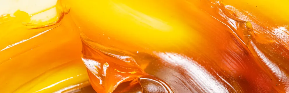 image of yellowy grease