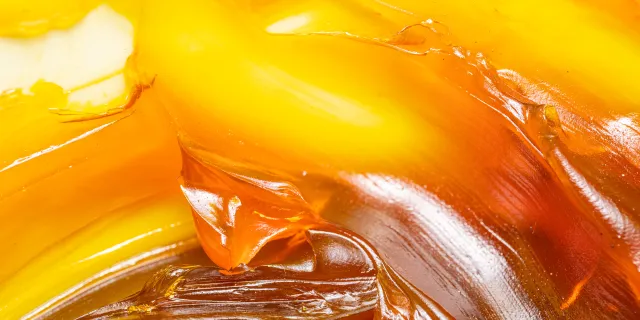 image of yellowy grease