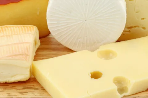 Different types of cheese on display