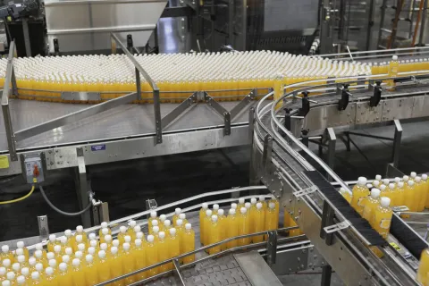 Filled soda bottles moving down as assembly line