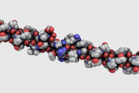 Space filling molecular model (cpk model) of collagen