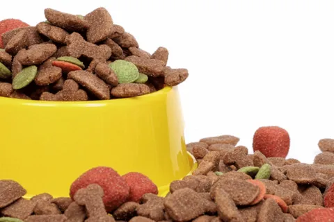 Yellow bowl filled with pet food