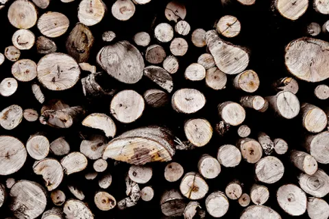 Cropped image of the bottoms of stacked tree stumps
