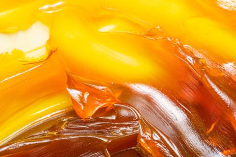 image of yellowy grease