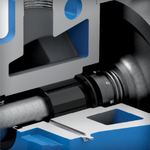 behind the rotor seal